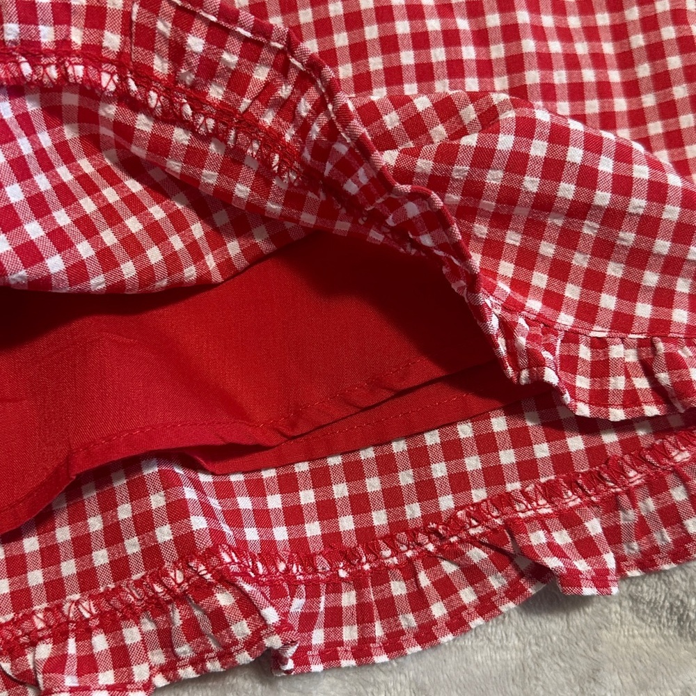 Sienna Sky Red Gingham A-Line Mini Skirt - Picture 7 of 8